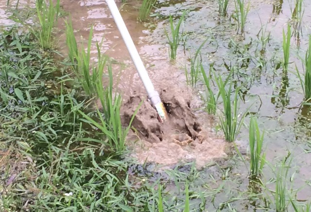 【近畿地方農業特集】アイデック 水田除草に新モデル 刈払機アタッチで水草処理